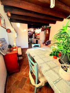 a dining room with a table with a plant at ZANINA COUNTRY HOUSE in Peschiera del Garda