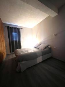 a bedroom with a bed with a light on it at Le cocon des Nestes in Arreau