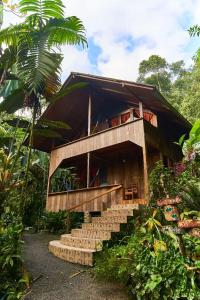 a house with stairs leading up to it at Casa Divina Eco Lodge in Mindo