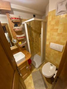 a bathroom with a shower and a toilet and a sink at Incantevole monolocale in centro a Cortina. in Cortina dʼAmpezzo