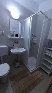 W łazience znajduje się prysznic, toaleta i umywalka. w obiekcie Apartments Žeki - 20 m from the sea w mieście Seget Vranjica
