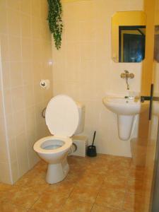 a bathroom with a toilet and a sink at Restaurace penzion Rafael in Dlouhá Brtnice