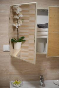 a mirror on a wall above a sink with a plant at Sunny Apartman 2 in Zlatibor +12 photos