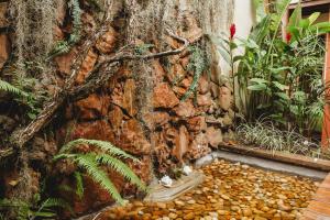 Um jardim em Pousada Villa Bella