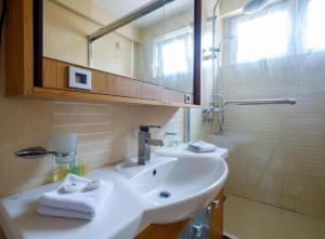 a bathroom with a sink and a shower and a mirror at Bulevar Star Apartment in Belgrade