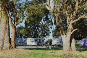een groep campers geparkeerd in een park met bomen bij Woodmans Hill Motel in Ballarat
