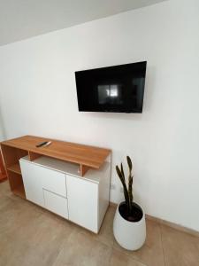uma sala de estar com uma televisão numa parede com uma planta em Complejo Fika em La Lucila del Mar