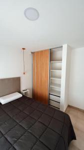 um quarto com uma cama grande e um closet em Complejo Fika em La Lucila del Mar
