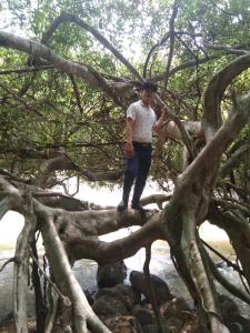 FOREST BREATH ECO-LODGE في Tân Phú: رجل يقف فوق فرع شجرة