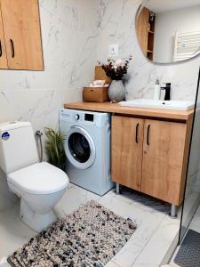 a bathroom with a washing machine and a sink at Apartament Central "Casa D'Alba" in Alba Iulia +11 photos