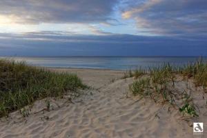 ツィノヴィッツにあるFewo 2-5 Sonnenscheinの海の景色を望む砂浜