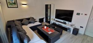 Televízia a/alebo spoločenská miestnosť v ubytovaní Apartman Perunika