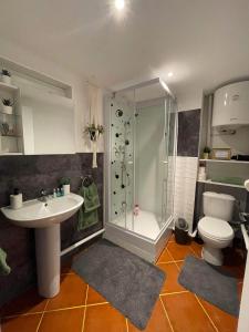 y baño con ducha, lavabo y aseo. en VAM STUDIO MONTPELLIER, en Montpellier