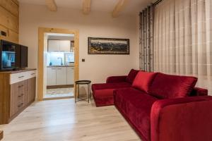 Televízia a/alebo spoločenská miestnosť v ubytovaní Apartamenty Chłabówka