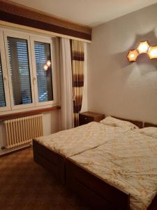 盧加諾的住宿－金柑公寓式酒店，一间卧室设有一张大床和一个窗户。