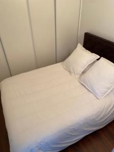 uma cama branca com duas almofadas em cima em LE CARDINAL, appartement avec parking privé, gare, centre ville, em Annecy