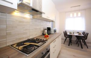 Kuchnia lub aneks kuchenny w obiekcie Apartman Nonno