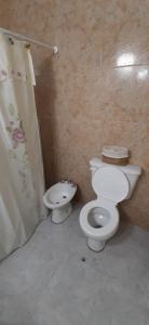 a bathroom with a toilet and a sink at CASA VERDE 1 depto in Carhué