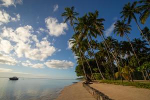 a beach with palm trees and a boat in the water at Club Meridional Praia dos Carneiros - Perto da Igrejinha in Praia dos Carneiros