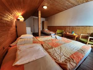 Postel nebo postele na pokoji v ubytování Ubytování 113