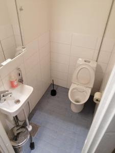 een kleine badkamer met toilet en wastafel bij Laajavuoren majapaikka — Condo in Laajavuori in Jyväskylä +9 foto's