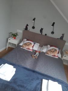 Posteľ alebo postele v izbe v ubytovaní Apartamenty Koci Ogon