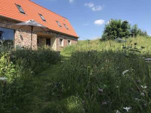 Zahrada ubytování Nachtegael Hoekhuis, knusse woning met prachtig vergezicht
