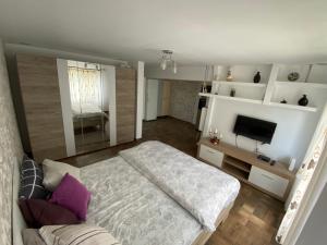 a bedroom with a large bed and a television at Garsoniera deosebita intr-o zona linistita Straja-Lupeni in Lupeni