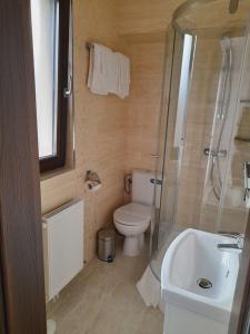 un bagno con wc, doccia e lavandino di BELCARA Apartment a Buşteni Altre 25 foto