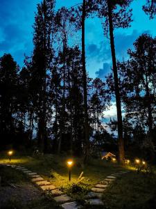 un chemin dans les bois la nuit avec des lumières dans l'établissement Glamping El Color de mis Reves Recinto del Pensamiento, à Manizales