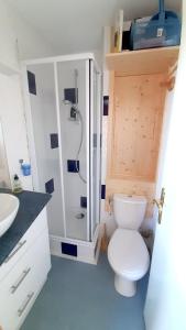 W łazience znajduje się biała toaleta i prysznic. w obiekcie Studio a Plagne Village a 10 m des pistes avec balcon amenage w mieście Plagne Villages
