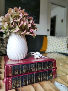 una pila di libri e un vaso con un fiore in cima di Appartement RügenZeit a Lancken-Granitz