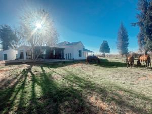 a group of horses grazing in a field in front of a house at Britskraal Guest Farm in Strydenburg