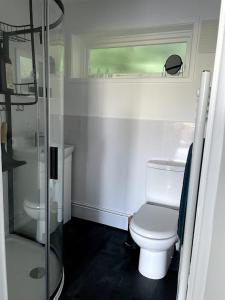 a small bathroom with a toilet and a shower at Self-catering studio in beautiful Charmouth in Charmouth
