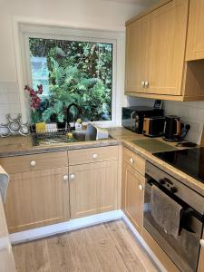 a kitchen with a sink and a window at Self-catering studio in beautiful Charmouth in Charmouth