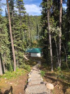 Příroda nedaleko luxury tent