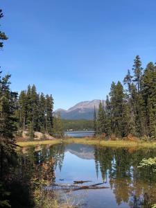 a lake with trees and a mountain in the background at Vines and Puppies Glamping Hideaway in Jade City