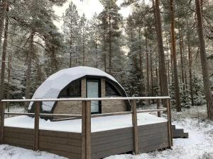 Fotografie z fotogalerie ubytování Pokemaja Nõva männimetsas v destinaci Rannaküla