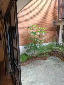 メデジンにあるHotel Poma Rosaの植物のある中庭へとつながる扉