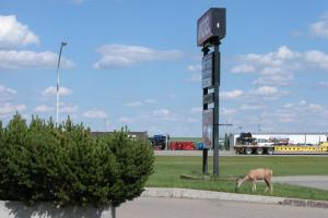 Bilde i galleriet til Best Seven Inn i Claresholm