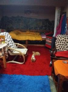 una habitación con una cama y un animal de peluche en el suelo en Το μικρό σπίτι στο λιβαδι en Ioánina