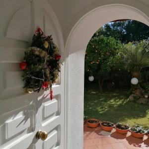 A garden outside A CASA