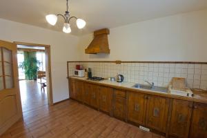 a kitchen with a sink and a counter top at Mileżówka - Noclegi&SPA in Ustroń