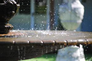 een vogel op een fontein bij Ardour Milton Park Bowral in Bowral