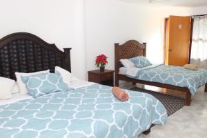 Gallery image of Hotel Alejandra in San Cristóbal de Las Casas