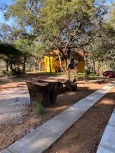 Κήπος έξω από το Cabaña Verito