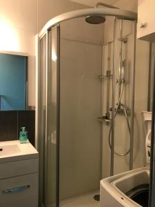 W łazience znajduje się prysznic ze szklanymi drzwiami. w obiekcie Appartement 4 personnes au pied des pistes w mieście La Pierre Saint Martin