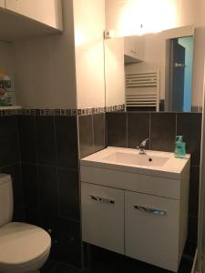 W łazience znajduje się umywalka, toaleta i lustro. w obiekcie Appartement 4 personnes au pied des pistes w mieście La Pierre Saint Martin