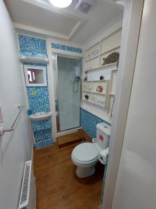 a small bathroom with a toilet and a shower at Self Catering Spacious open plan 3 bed apartment with sea views in South Erradale
