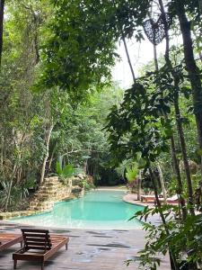 a bench next to a swimming pool in a forest at Xoot Ka’Ana villa fantasía in Bacalar +9 photos